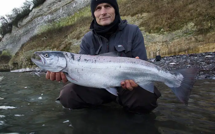 En stolt lystfisker holder en stor, blank havørred, som er fanget under havørredfiskeri fra kysten ved en stejl klint.